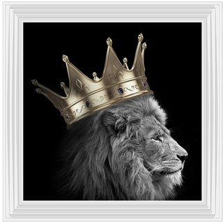 King Lion Gold - 85x85cm