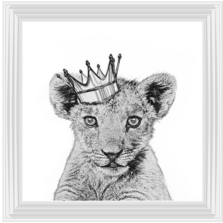 Prince Cub - 85x85cm