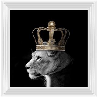 Queen Lion Gold - 85x85cm