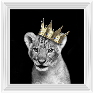 Prince Cub Gold - 85x85cm