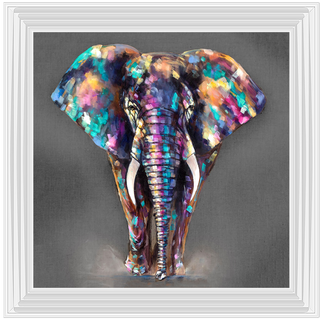 Colouful Elephant 55x55cm