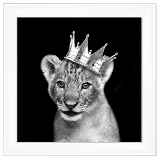 Prince Cub Silver - 85x85cm