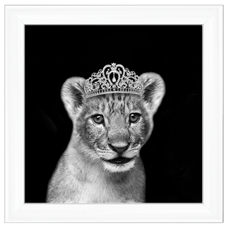 Princess Cub Silver - 85x85cm