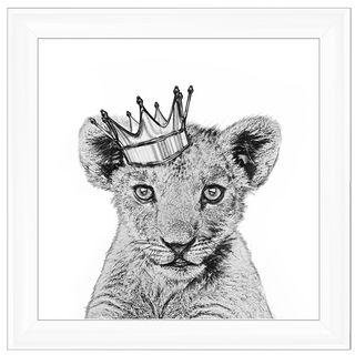 Prince Cub - 85x85cm