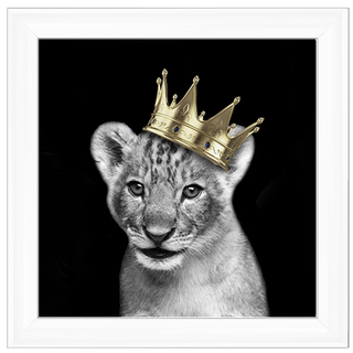 Prince Cub Gold - 85x85cm