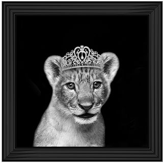 Princess Cub Silver - 85x85cm