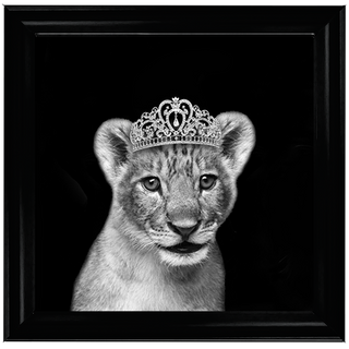 Princess Cub Silver - 85x85cm