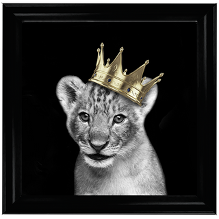 Prince Cub Gold - 85x85cm