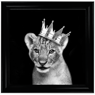 Prince Cub Silver - 85x85cm