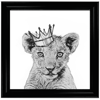 Prince Cub - 85x85cm