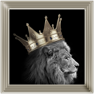 King Lion Gold - 55x55cm