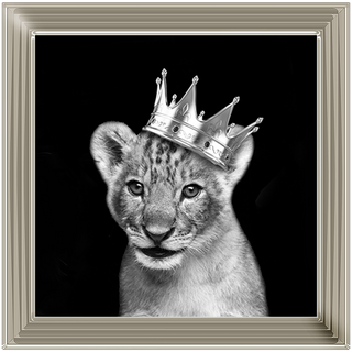 Prince Cub Silver - 85x85cm