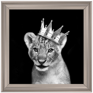 Prince Cub Silver - 85x85cm