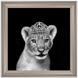 Princess Cub Silver - 85x85cm