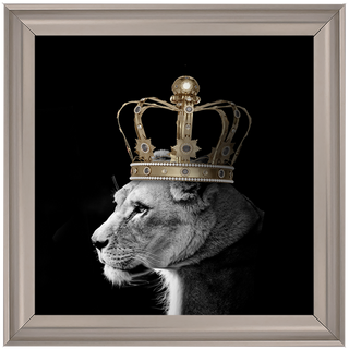 Queen Lion Gold - 85x85cm