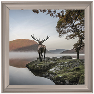 Single Stag 1 - 85x55cm