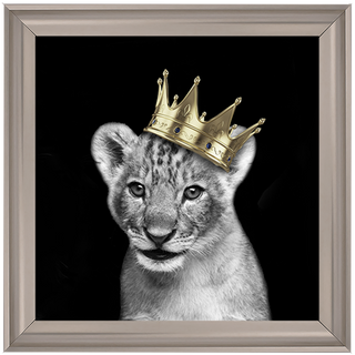 Prince Cub Gold - 85x85cm