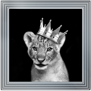 Prince Cub Silver - 85x85cm