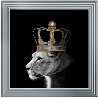 Queen Lion Gold - 85x85cm