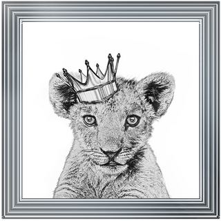 Prince Cub - 85x85cm