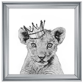 Prince Cub - 85x85cm