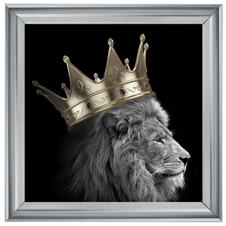 King Lion Gold - 85x85cm