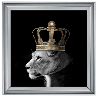 Queen Lion Gold - 85x85cm