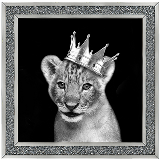 Prince Cub Silver - 85x85cm