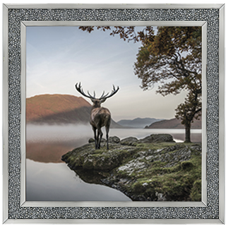 Single Stag 1 - 85x55cm