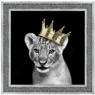 Prince Cub Gold - 85x85cm