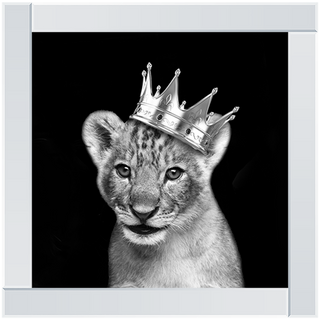 Prince Cub Silver - 85x85cm