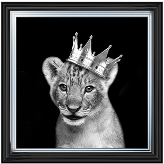 Prince Cub Silver - 85x85cm