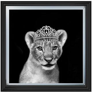 Princess Cub Silver - 85x85cm