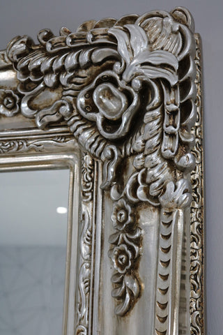 Ornate Mirror Champagne -200x100cm