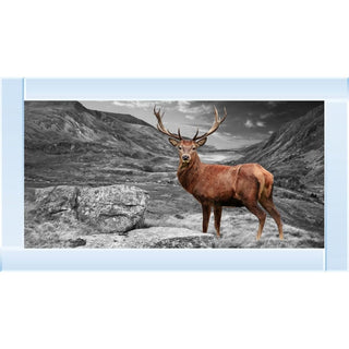 Stag Wall Art with Mirrored Frame 115x65cm